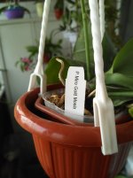 IMG_20200801_075943.jpg