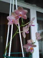 IMG_20200801_075604.jpg