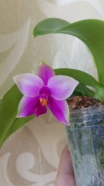 20200803_102543.jpg