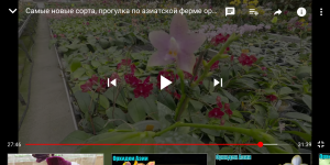 Screenshot_2020-08-04-22-33-47.png