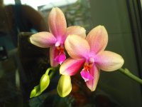 IMG_20200802_183001.jpg