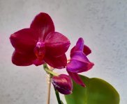 20200806_064806.jpg
