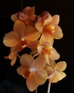20200805_121513.jpg