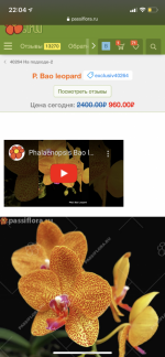551133D7-3A64-45E5-8958-E239485C0887.png