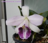 DSCN7577.JPG