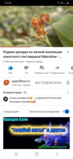 Screenshot_20200811-103533_YouTube.jpg