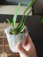 IMG_20200812_123211.jpg