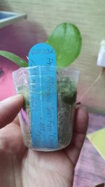20200812_183319.jpg