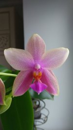 P_20200815_104202.jpg