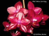 IMG_0334.JPG