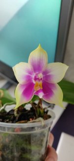 IMG_20200816_101721.jpg