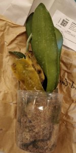 IMG_20200818_174041.jpg