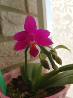 IMG_20200821_075252.jpg