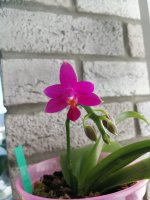 IMG_20200821_075721.jpg