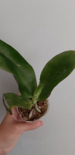 20200822_164953.jpg