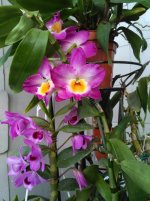 IMG_20200819_193156.jpg
