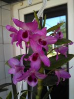 IMG_20200822_102001.jpg