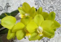 IMG_20200813_204847.jpg