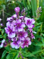 20200823_082317.jpg