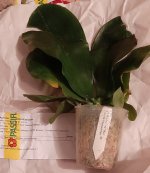 20200828_085203.jpg