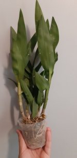 20200901_181753.jpg