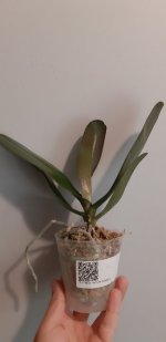 20200901_181147.jpg
