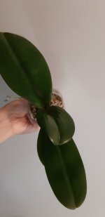 20200901_181155.jpg