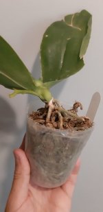 20200901_181335.jpg