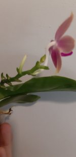 20200901_181602.jpg