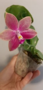 20200901_181530.jpg