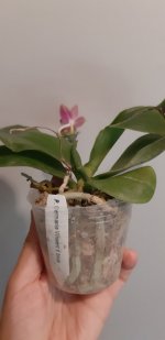 20200901_181505.jpg