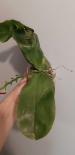 20200901_181538.jpg