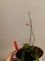 IMG_20200901_234517.jpg