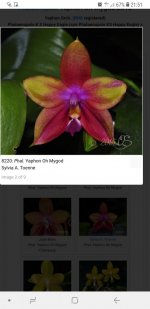 Screenshot_20200902-215107_Chrome.jpg