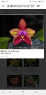 Screenshot_20200902-215120_Chrome.jpg