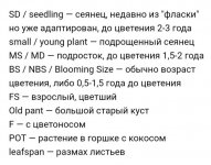 Screenshot_20200903-053943_1.jpg