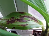 20200905_135515.jpg