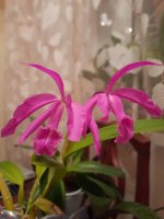 20200831_202404.jpg