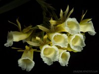 DSC04837_resize.jpg