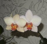 DSCN7618.JPG