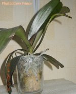 DSCN7624.JPG