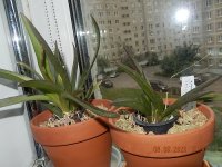 DSCN7625.JPG