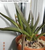 DSCN7626.JPG