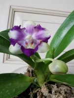 IMG_20200908_160330.jpg