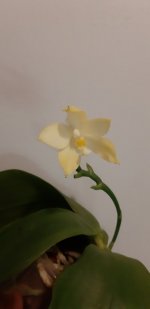 20200908_195813.jpg