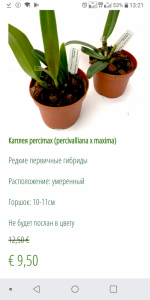 Screenshot_2020-09-12-13-21-24.png