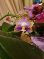 20200914_001347.jpg