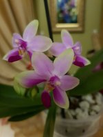 20200914_004220.jpg