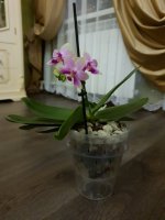 20200914_004301.jpg