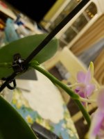 20200914_004921.jpg